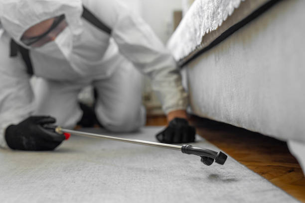Professional Cockroach Control technician working in Balfour, NC